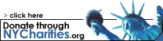 donate_234x60